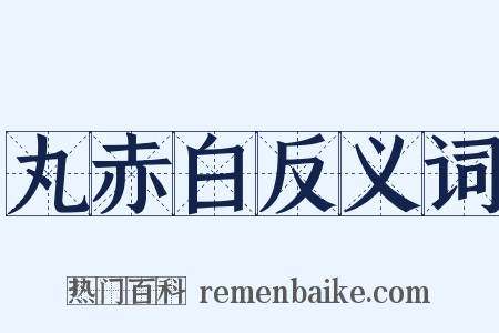 丸赤白反义词是什么意思的图片